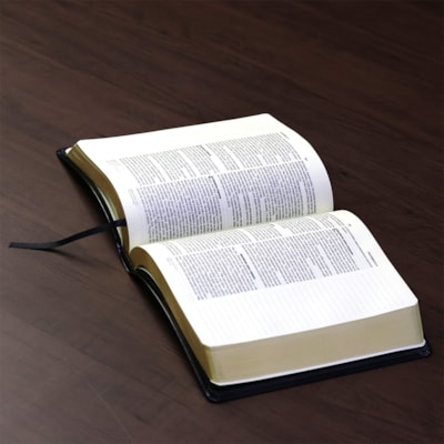 image_4b08d5fc-c84e-4ce6-9bd2-6c3d16ccadaa