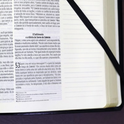 image_a7842ab7-31db-43f3-bfb8-3c22bbfeba45