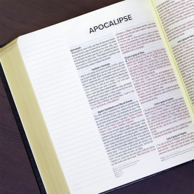 image_372602be-4f08-4810-8dd2-5c967c5aa2dd