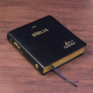 Bíblia Anote | NVI | Letra Normal | Capa Luxo Preta Dourada