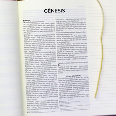 image_50c27e83-6a66-4486-a36f-5b782e41a013