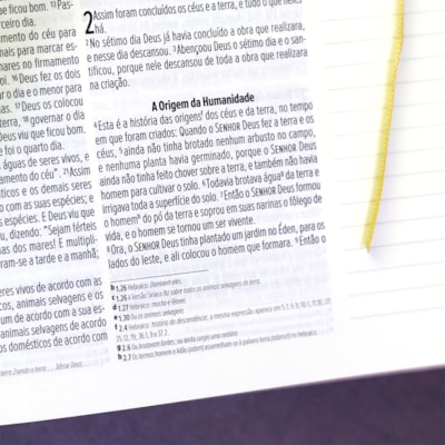 image_35ee3a06-28d7-4a11-b740-9d83710a6e7c