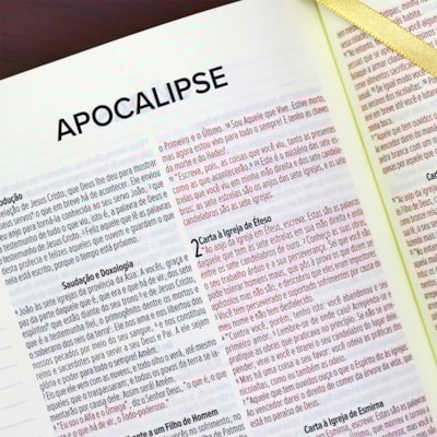 image_08e60379-358d-490d-b458-f324b97128ad