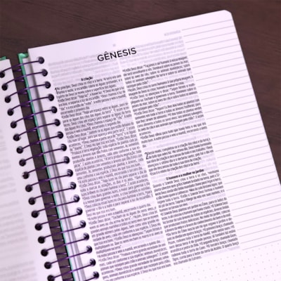 image_3c4a6f59-f418-475e-acbf-24bcadd07106