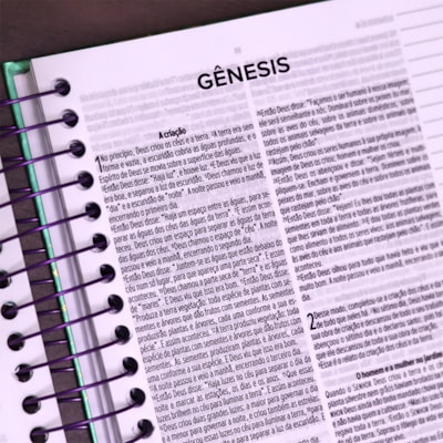 image_e043ea41-9494-4779-b1f2-e91380348830