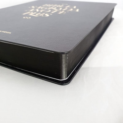 image_ff9f0254-fc8f-43ba-af24-3e4fcf11a0e7