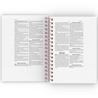 image_53a09a53-d70a-4cac-9e38-e94159bdd52b