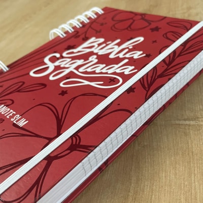 image_24e7f70b-591e-4f3e-b3e0-afc7cd8263fd