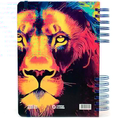 image_b793019a-fe76-4bbe-84cc-41c0156f3ced