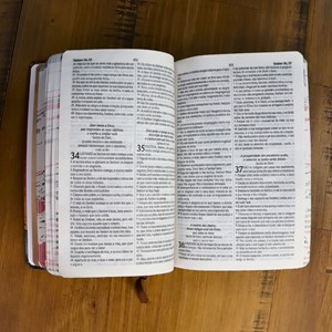 Bíblia ARC Cruz | Letra Normal | Capa Semi Flexível