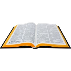 Bíblia ARC | Leão | Harpa Cristã | Capa Dura