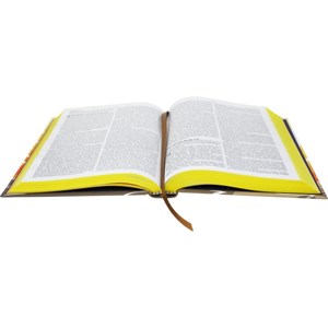 Bíblia Arte Abraço | Letra Normal NAA | Capa Dura