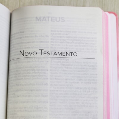 image_2f277508-507b-4712-8fe8-aaee05805145