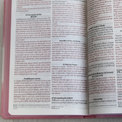 image_00040d26-2b3f-4d49-8a9f-afd120b5aefc