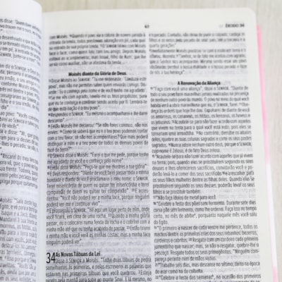 image_a4b6fbc8-7483-4436-abbf-822066a7e4cf