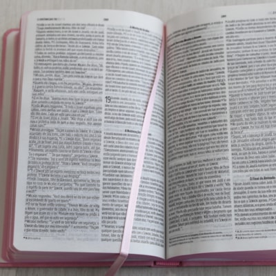 image_05a463f5-929d-4f67-8ad2-f33acd57e479