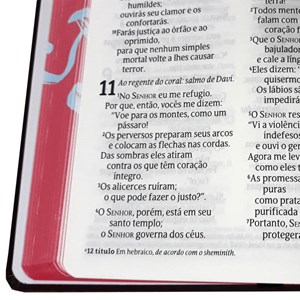 Bíblia ASU | NVT Letra Grande | Capa Soft Touch