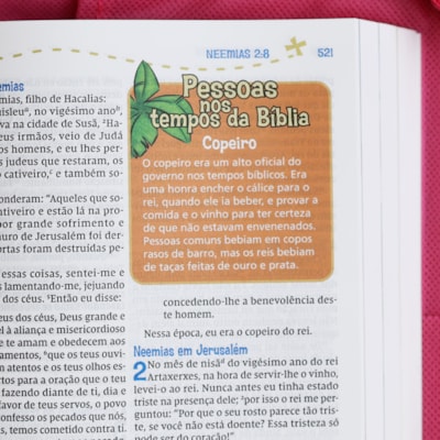 image_c935a408-9b30-4215-ad39-e51b0fbb2ac9