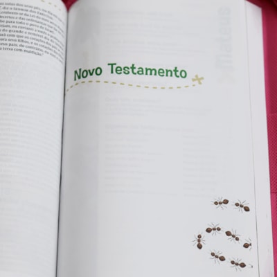 image_042270ac-c2d6-4143-897e-61489cf25b15