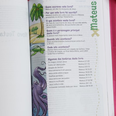 image_3acf7213-b1a6-4251-aa10-adf3fb559332