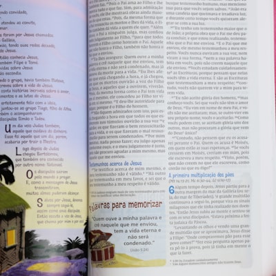 image_5d848aec-114d-4b43-8606-8aa64eddcc4c