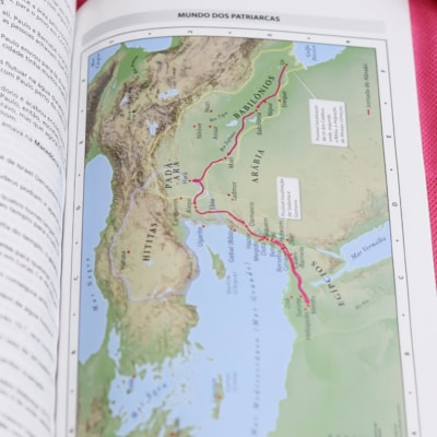 image_d0a09a77-6a7a-4c0a-9a12-9ca195ead826