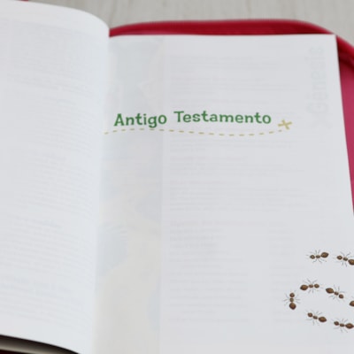 image_f297a6d3-6d3d-467b-90fb-0c1dd5519c7d