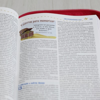 image_17b698f4-ce4c-47a9-a37a-b0be96cd640a