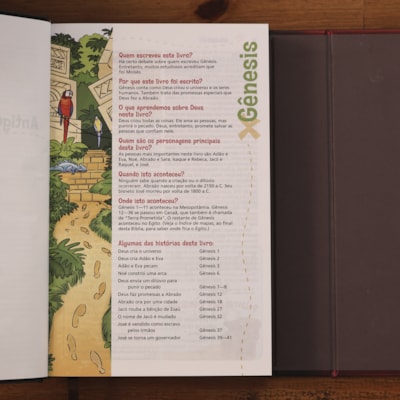 image_99fb1fce-91a8-4c4e-9387-7ff5cc4dfe70