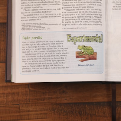 image_9534b72c-b923-4efe-856c-d4b9f74dc3d3