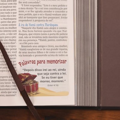 image_b27ed633-0afc-4ac1-b2df-3613fbb4708c