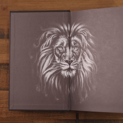 image_ed6095fb-e81c-4daa-830a-9cf8da47e8fb