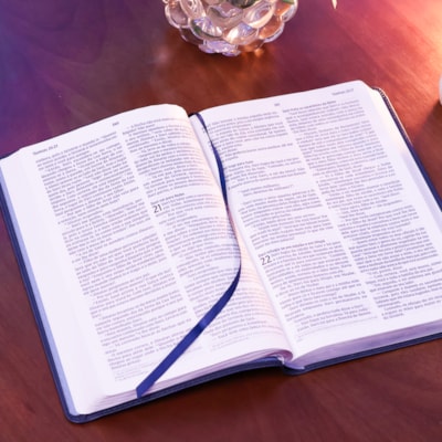 image_cb053ed2-04ea-4024-b88a-0d5ab5343336