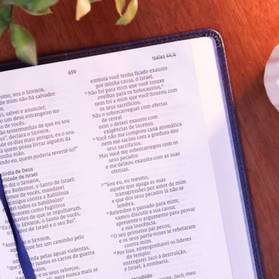 image_a55cb2d2-61ea-4568-aa16-fde5154e10ed