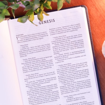 image_cb92c857-594c-495e-9e7d-debd4b91d82d