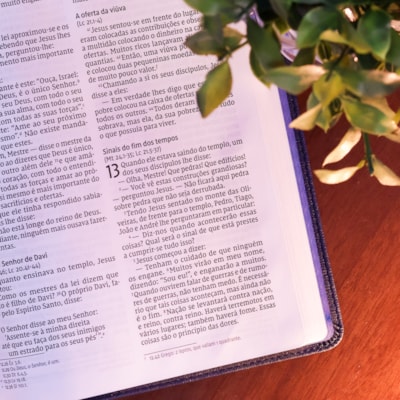 image_c18dc5ea-e822-4f97-bbdc-d4276606399e