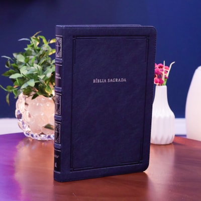 image_7ddd68a7-4edd-43d0-a3ff-511644d2cf0a