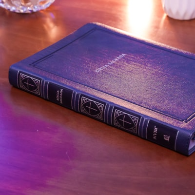 image_e9a022d2-209e-4f91-9d6b-13879b5d15b5