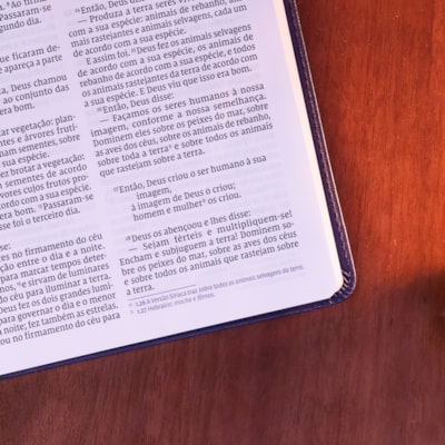 image_1306415b-589f-4d7a-9383-811b7f0b49b8