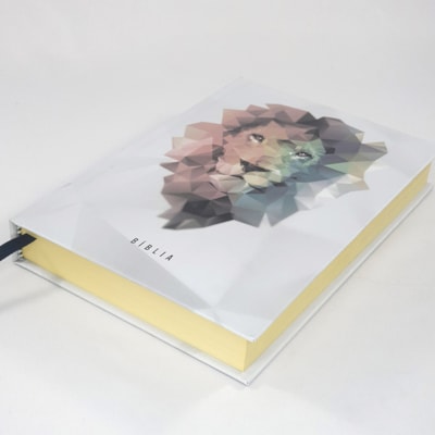 Segunda imagem do produto Bíblia Be Brave | NAA | Capa Dura Leão