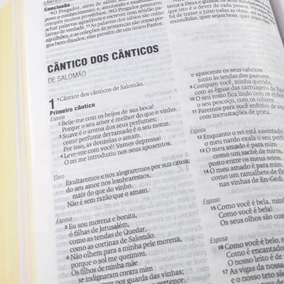 image_0868c253-724f-497b-9bc0-26fa532e5e6f