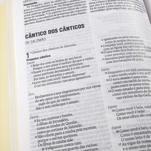 Bíblia Be Brave | NAA | Capa Dura Leão