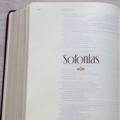 image_9015a6c0-f194-48f7-89cc-3c7a26f9199f