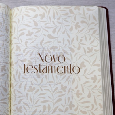 image_351b1dfc-1ced-4fdb-851f-3df0281fcd3f