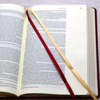 image_28aa295b-9db5-4877-a70b-e82a8dbfd2bb