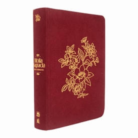 Bíblia Bible Journaling | NVI | Letra Normal | Capa Dura Vinho | Com Espaço Para Anotações