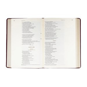 Bíblia Bible Journaling | NVI | Letra Normal | Capa Dura Vinho | Com Espaço Para Anotações