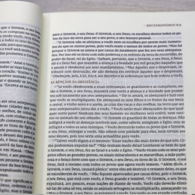 image_0fc15d24-9f52-421d-8fe8-b694503976bf