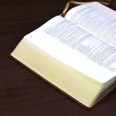 image_11e55e31-516a-4eee-acdb-2dcc8ddf8e10