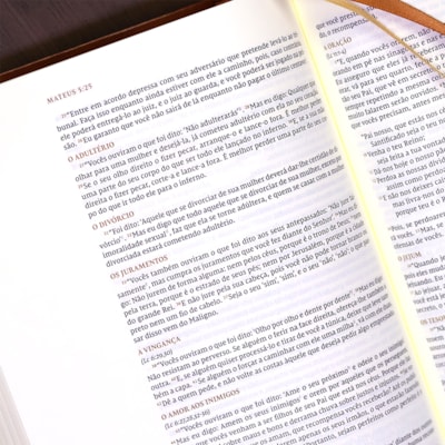 image_d33d947d-3dff-411b-ad5f-dc652dd854a7